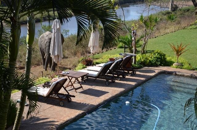 Khandizwe Kruger Villa Malalane Bilik gambar