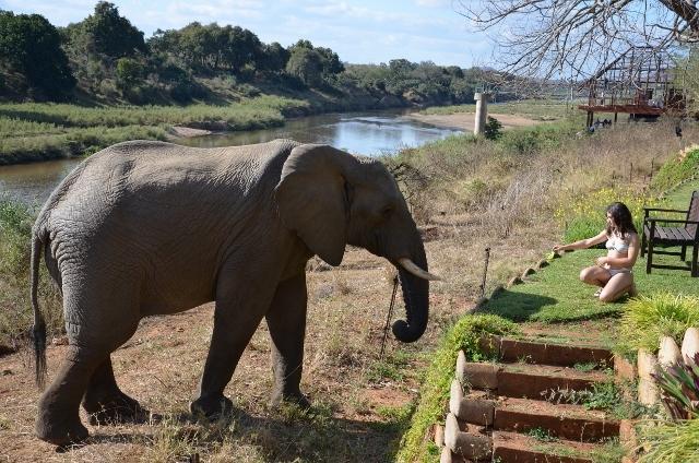 Khandizwe Kruger Villa Malalane Bilik gambar